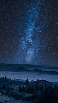 Beautiful Starry Sky at Night