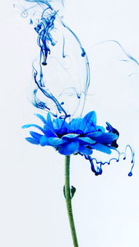 Romantic bouquet-07