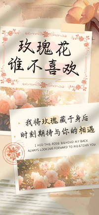 玫瑰花谁不喜欢