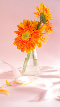 Flowers with medicinal value 79