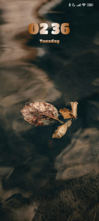 Pond