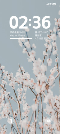 浅夏繁花