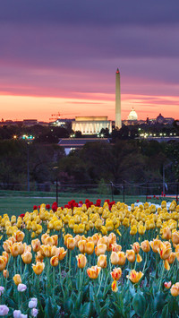 Night view of illuminated monuments and landmarks