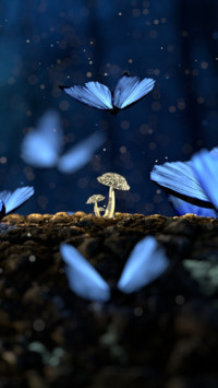 Dream World  (2)