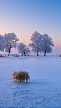 Jilin Landscape Painting Exhibition