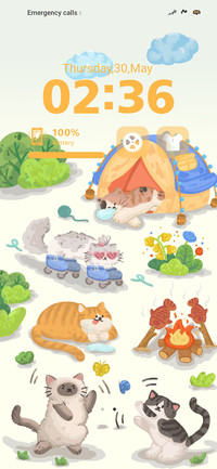 Travelling Cat