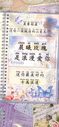 晨曦玫瑰是浪漫爱你