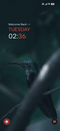 Dark Finch