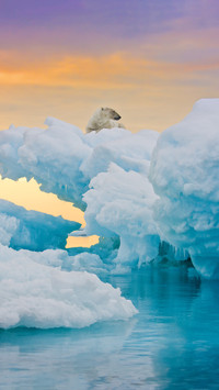 Arctic Temperature Soars to a New High 4