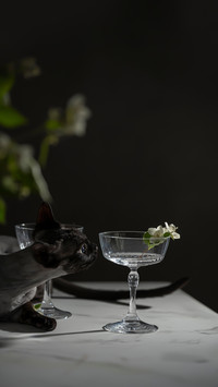 Beautiful Empty Glasses on High Leg