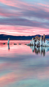 International-monolake
