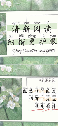 清新阅读细楷更护眼