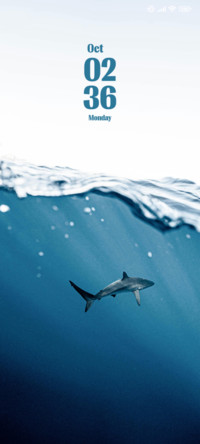 Shark