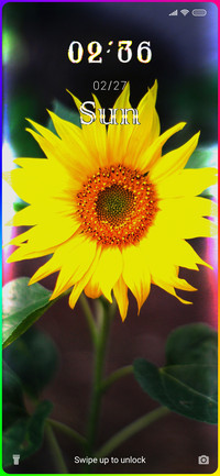 Sunflower Edge