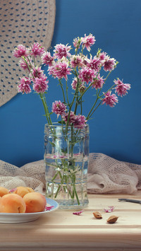 How to prolong the flowering period of flowers 3
