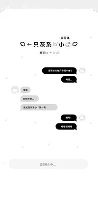 一只灰系的小猫