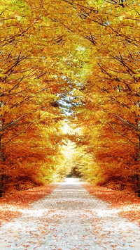 Autumn style