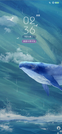 鲸情一声