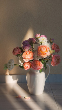 Recommendations for early autumn flower cultivation 53