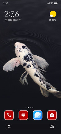 Fish
