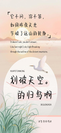 划破天空的归鸟啊