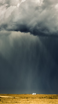 暴雨天怎么保障出行安全? 