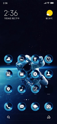 Earth Astronaut