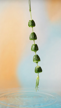秋分季节秋意浓