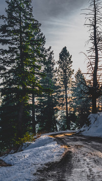 Winter Road