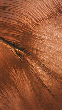 The red surface texture of the northwest