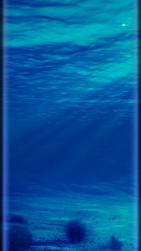夏夜海底之梦