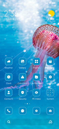 Jellyfish