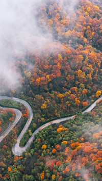 Autumn colors paint the Qinling Mountains in fall.