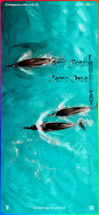 Dolphin Jess