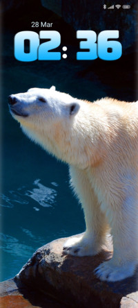 polar bear