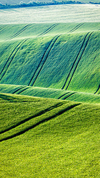 Natural scenery-01