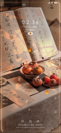 光影换图 柿柿如意