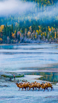 The Stunning Scenic Spots of Altay