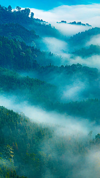 Clouds and mists entwine layer upon layer of green