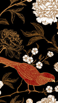 棕色花朵-拍信图库
