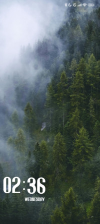 Foggy