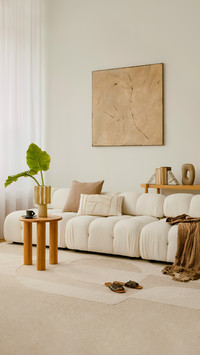 Cosy and stylish interior design of living room