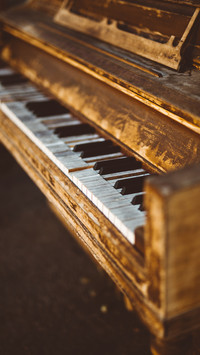 international_design (1)