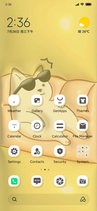 Sunglasses cat