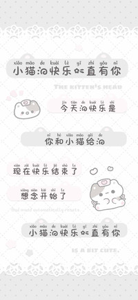 小猫的快乐一直有你