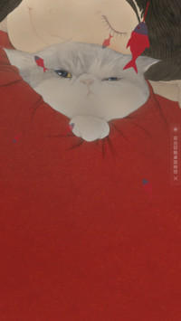 肥猫