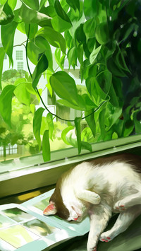 想要变成猫