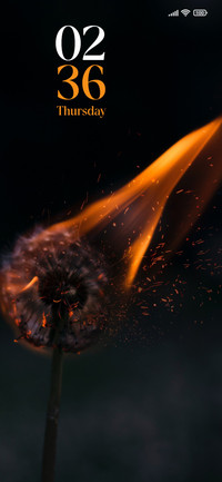 The Flame