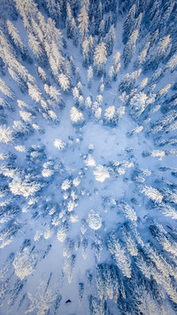 Snow falls on mountains and rivers and the years turn white