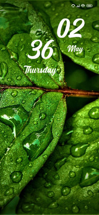 Rainy Weather